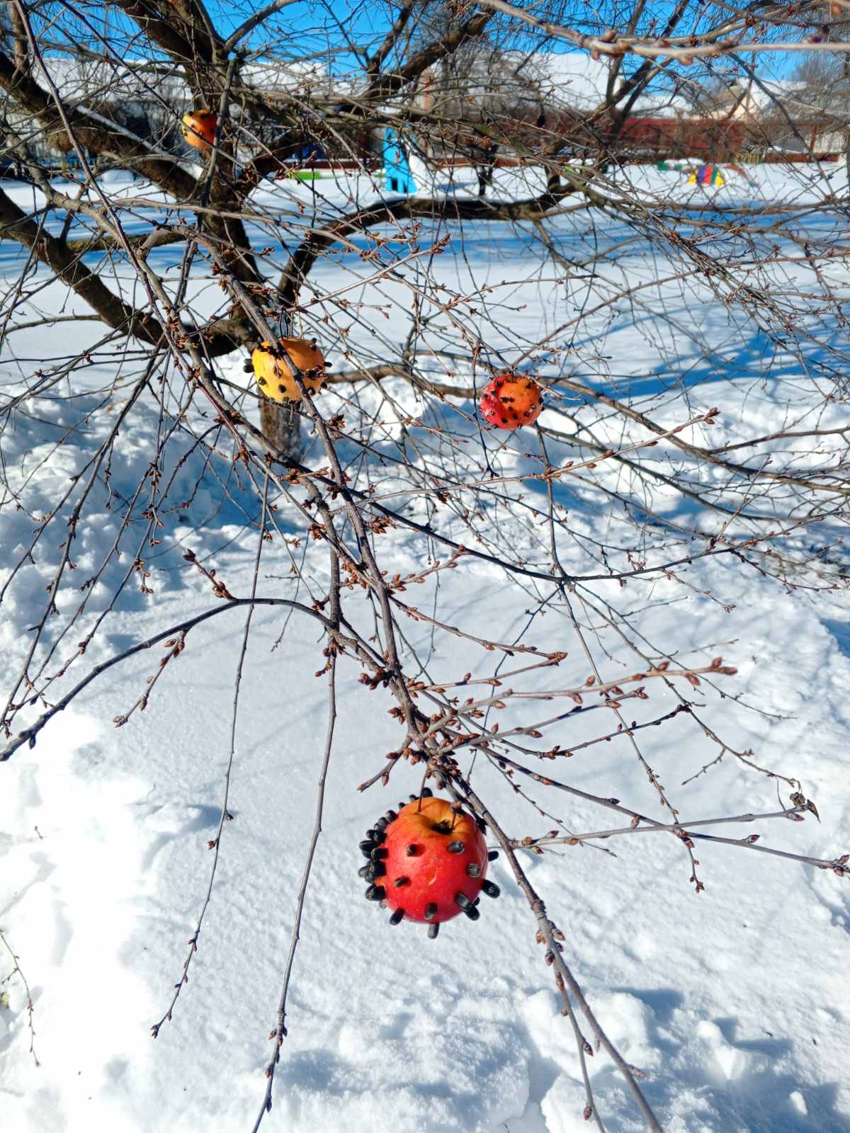 Фото без опису