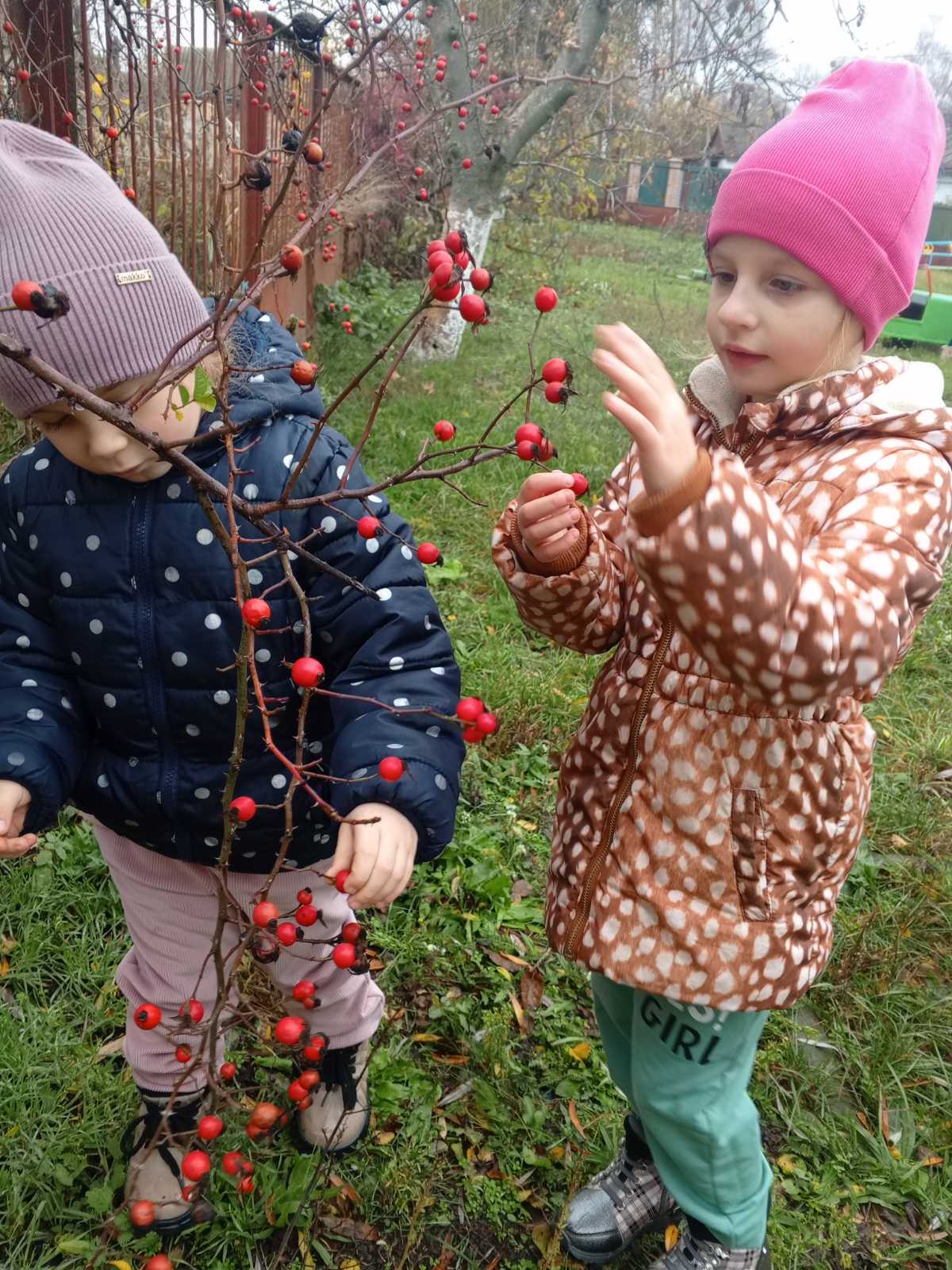 Фото без опису