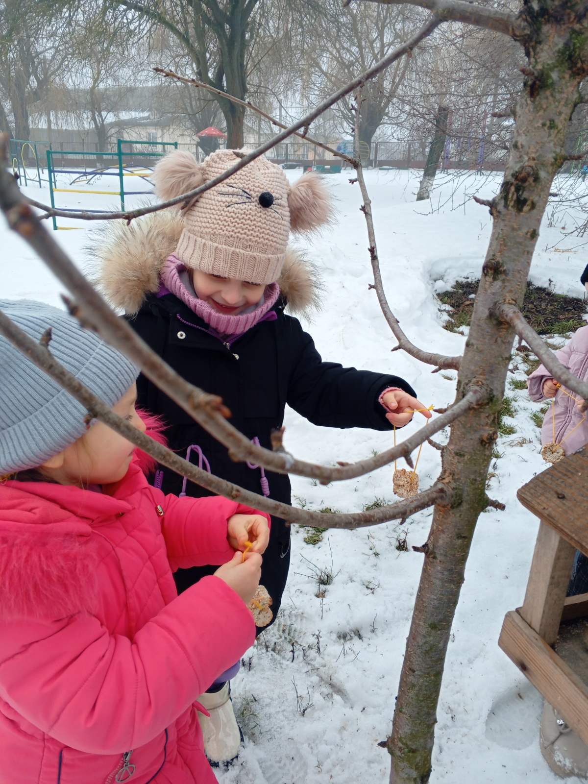 Фото без опису