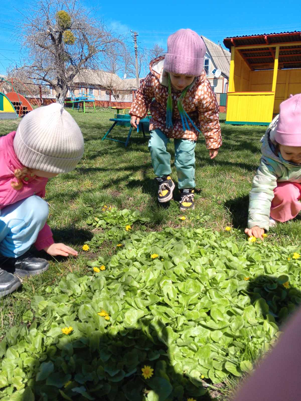 Фото без опису