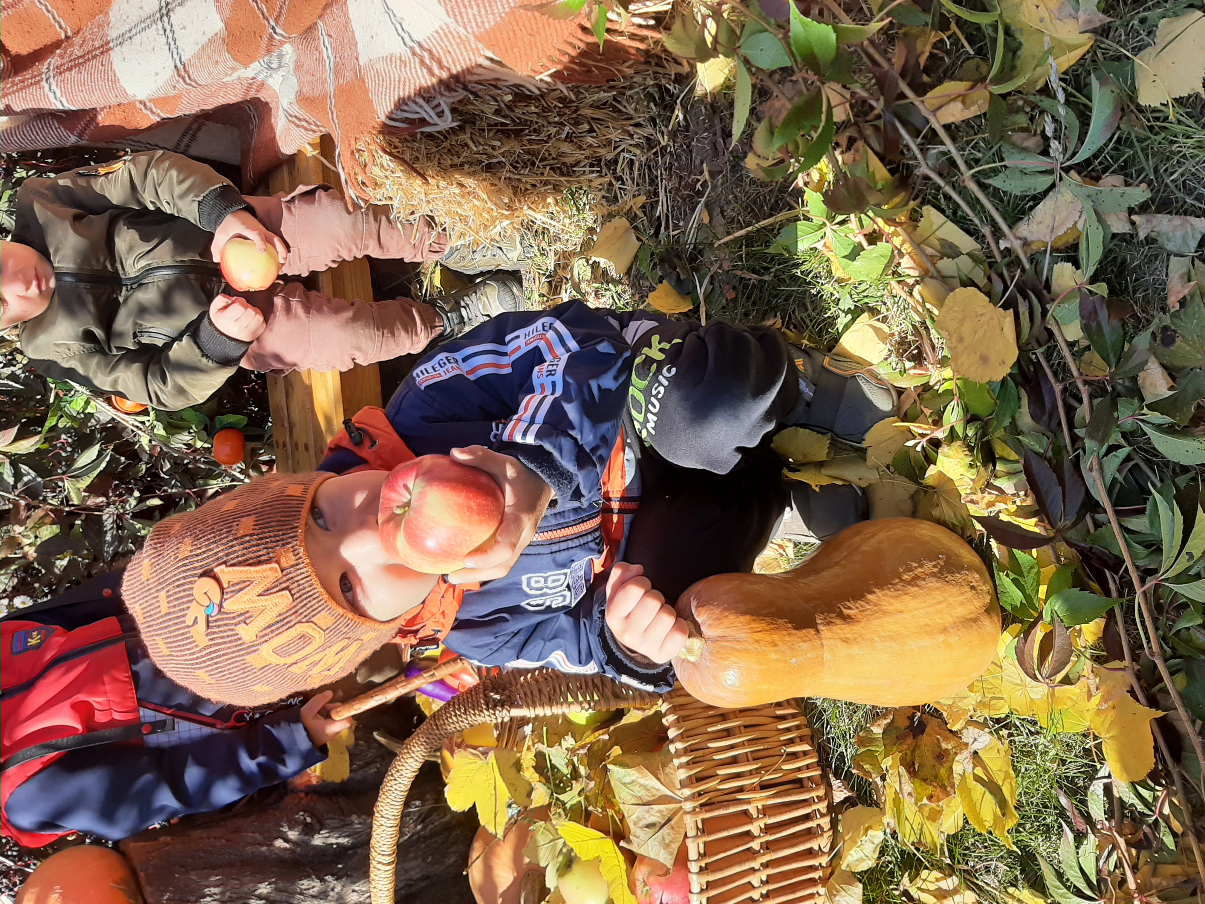 Фото без опису