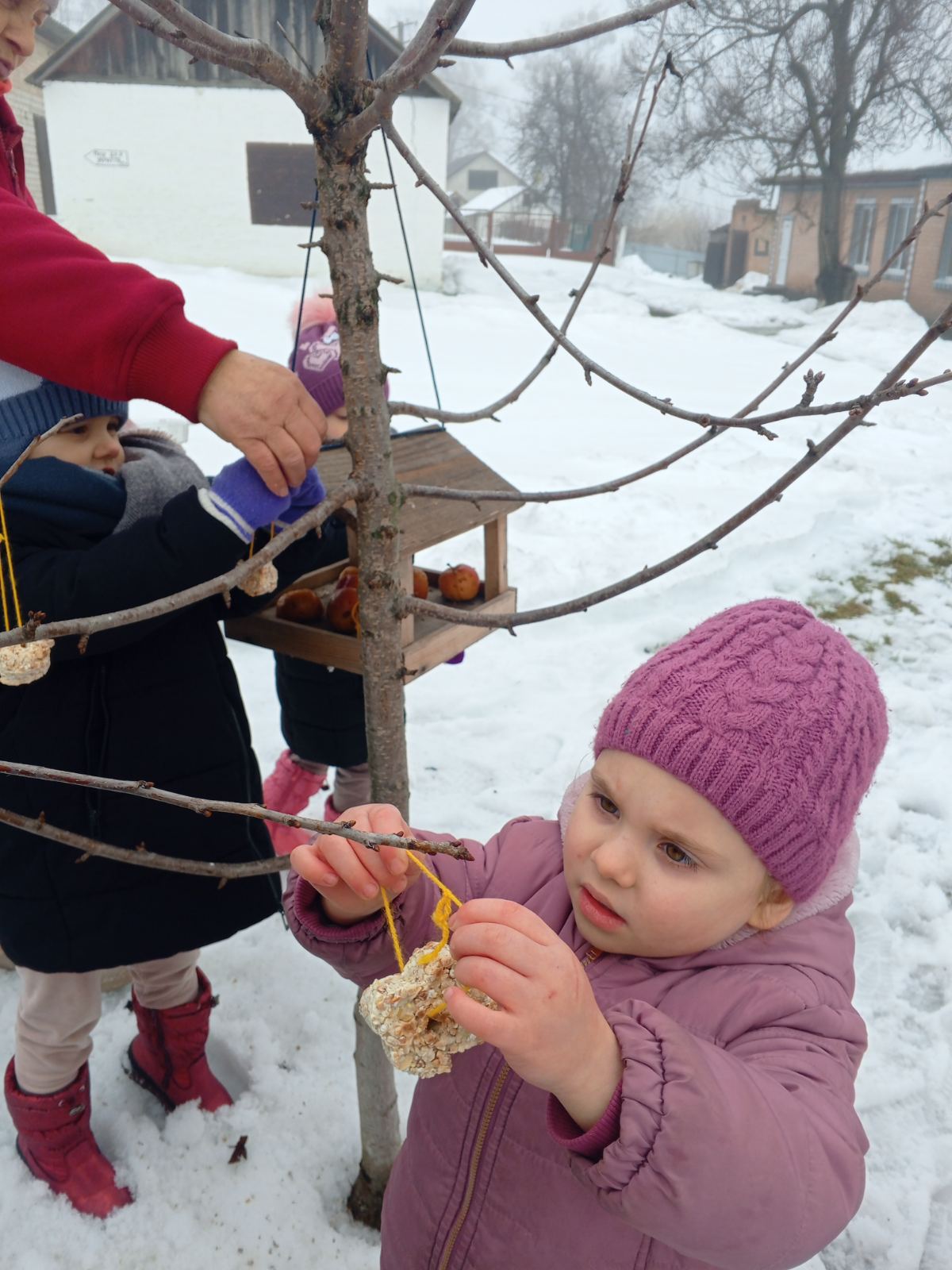 Фото без опису