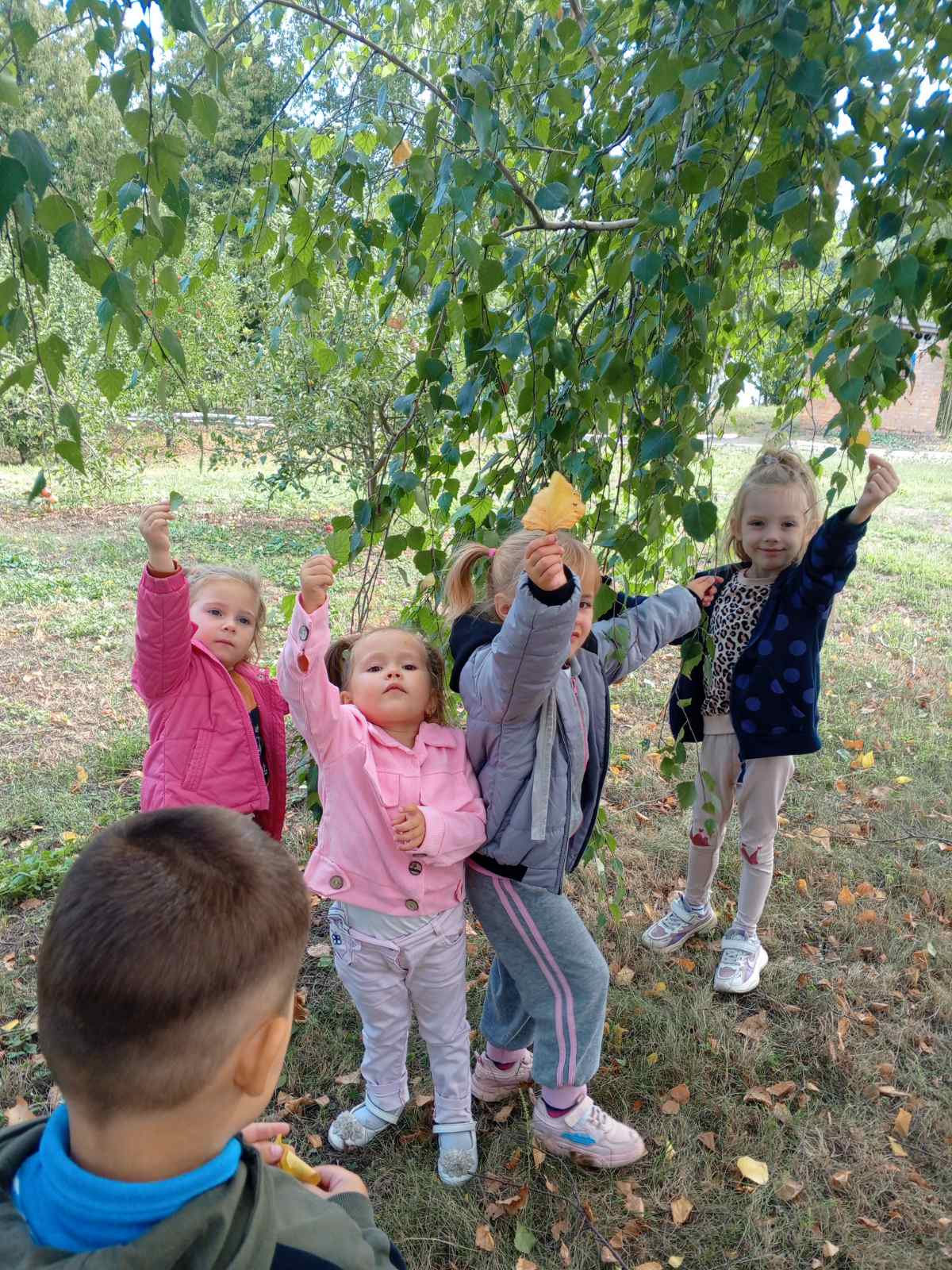 Фото без опису