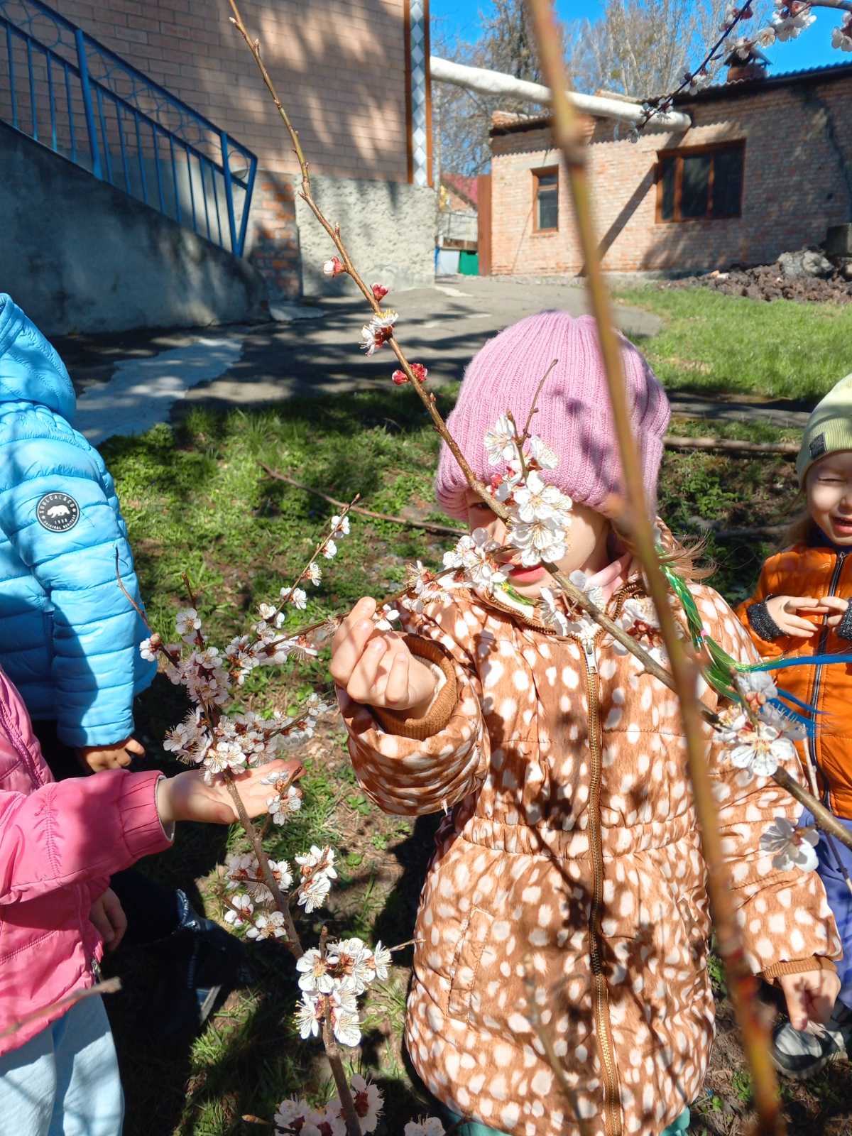 Фото без опису