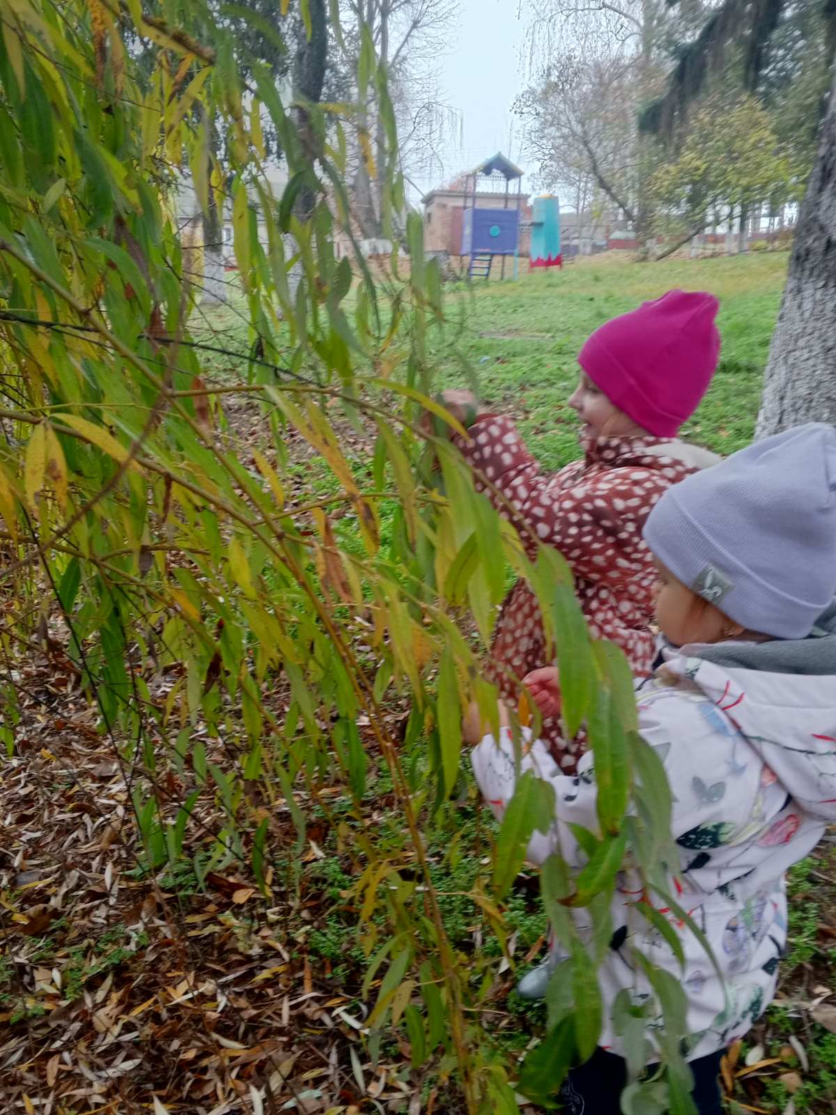 Фото без опису