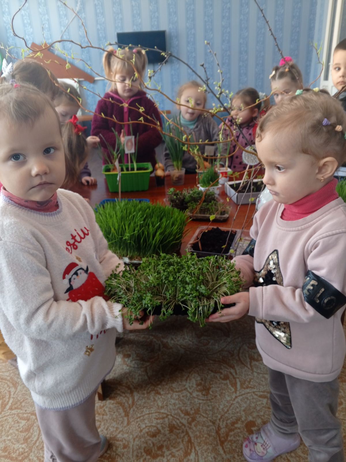 Фото без опису