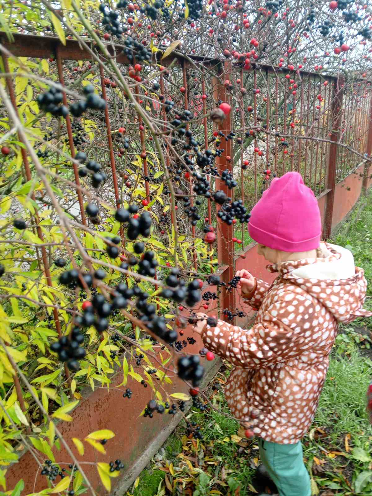 Фото без опису