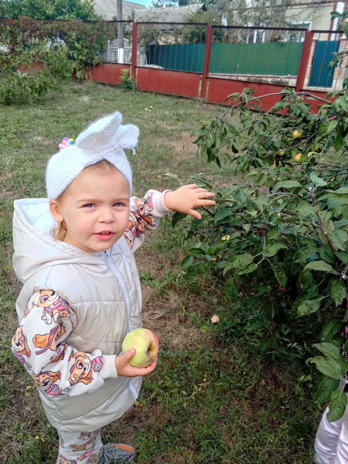 Фото без опису