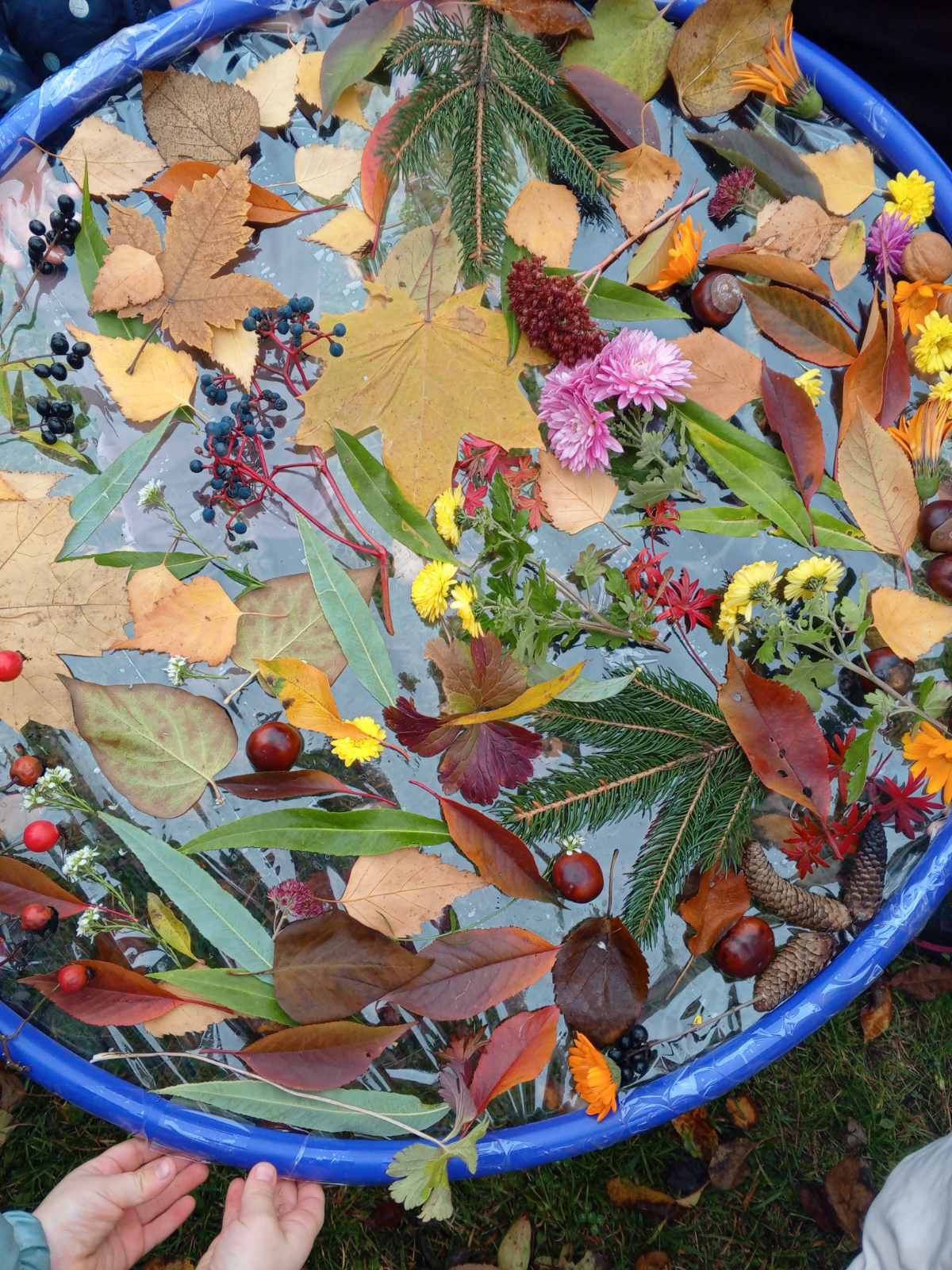 Фото без опису