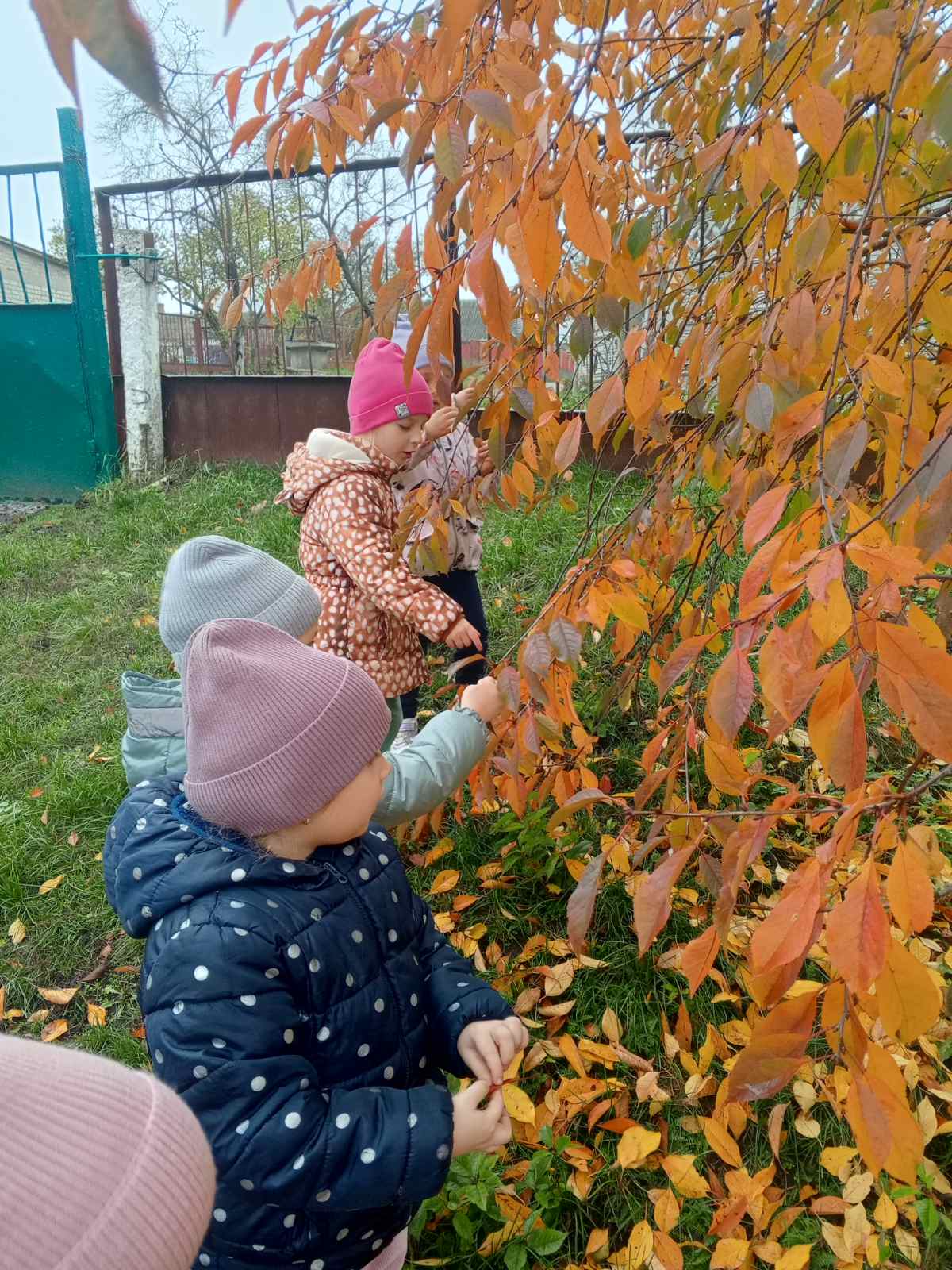 Фото без опису