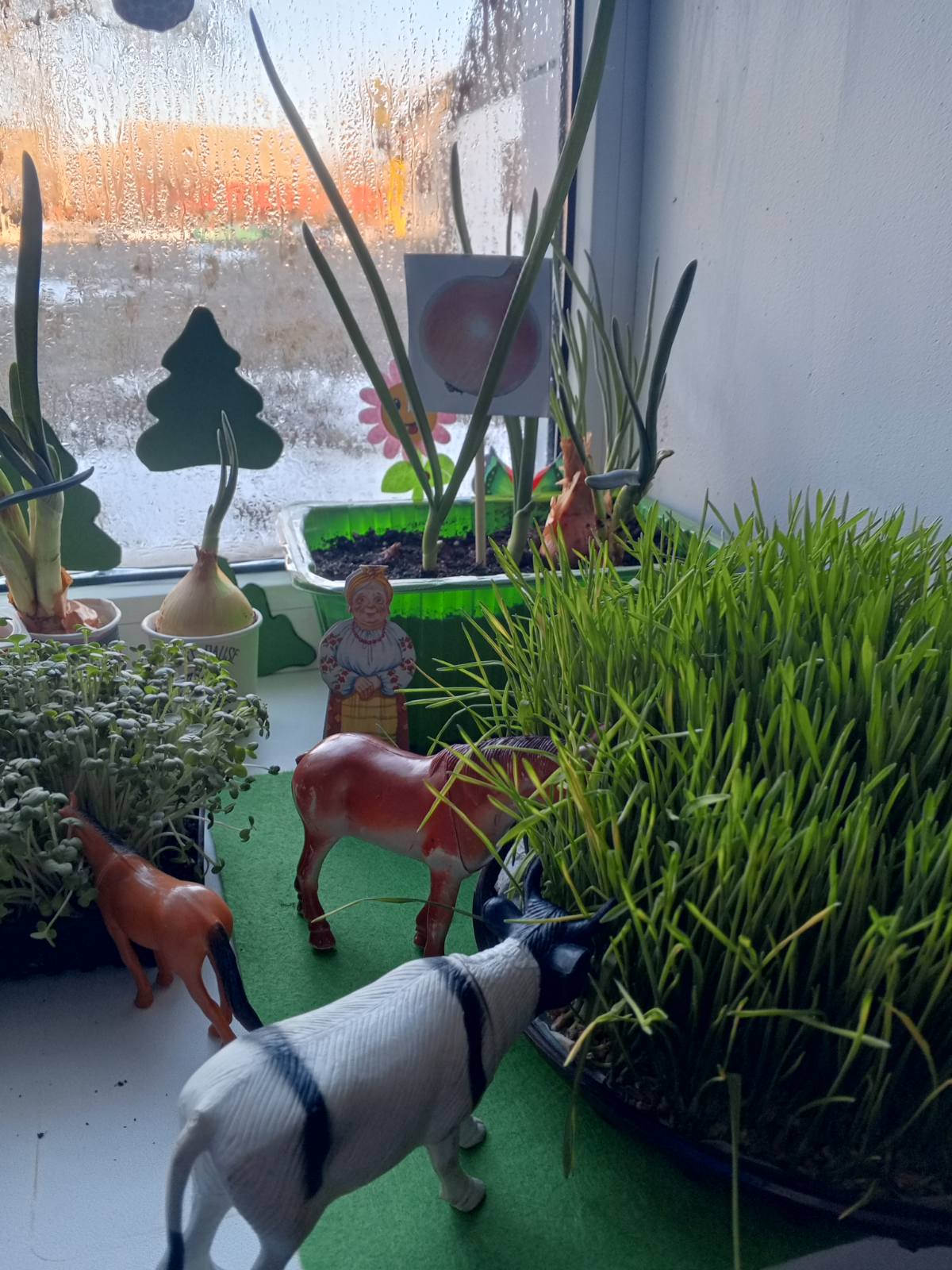 Фото без опису