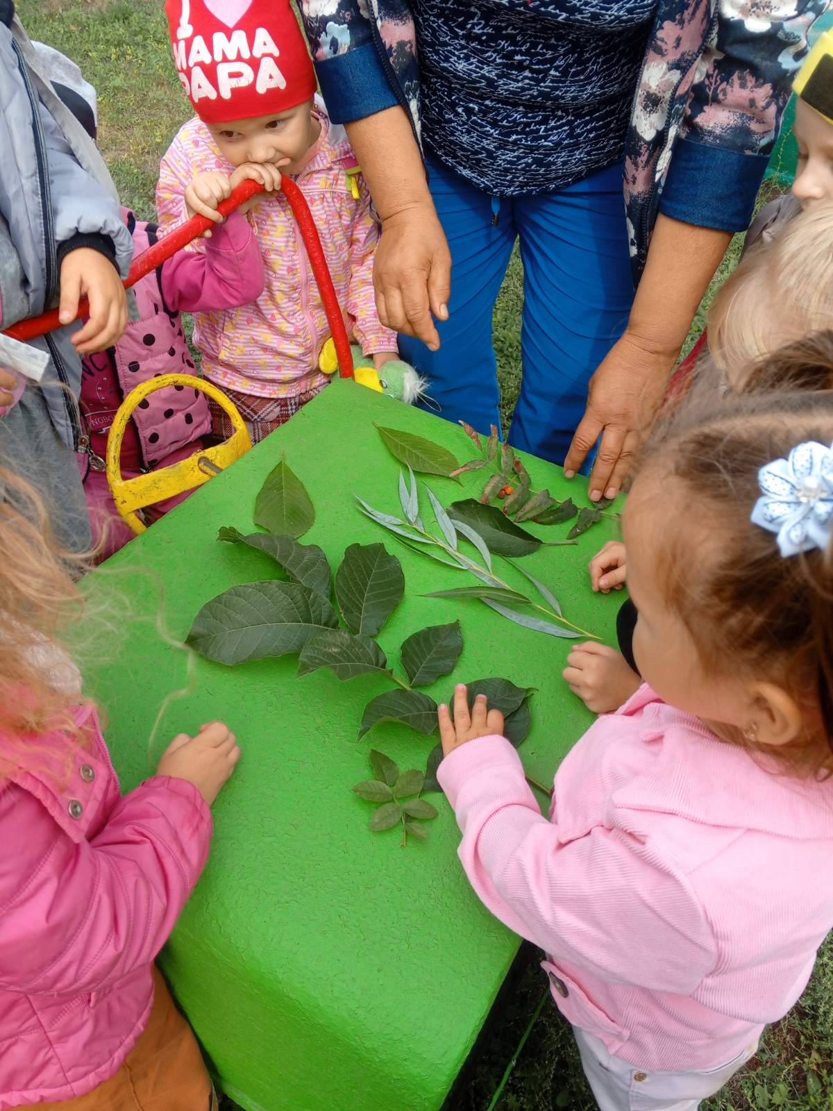 Фото без опису