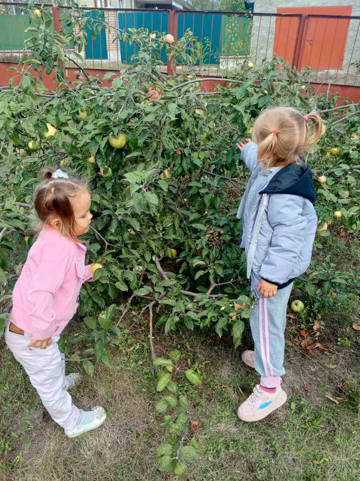 Фото без опису