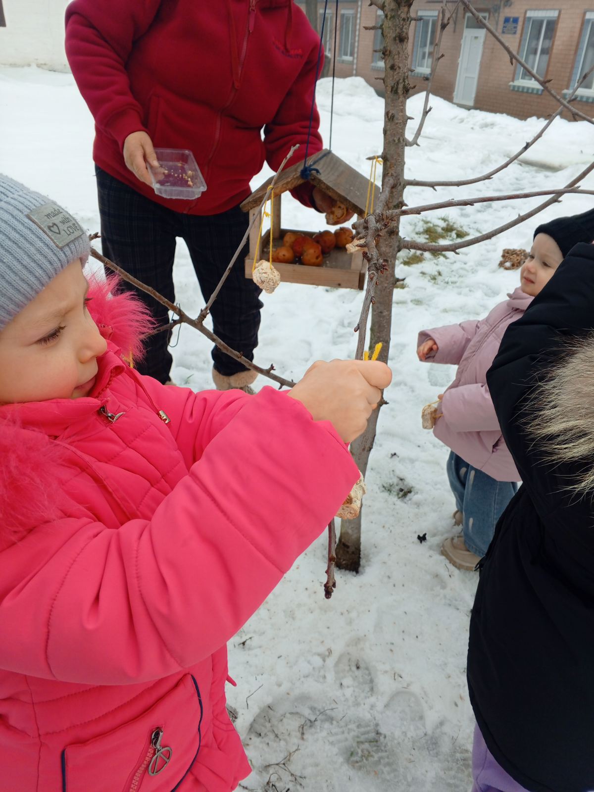 Фото без опису