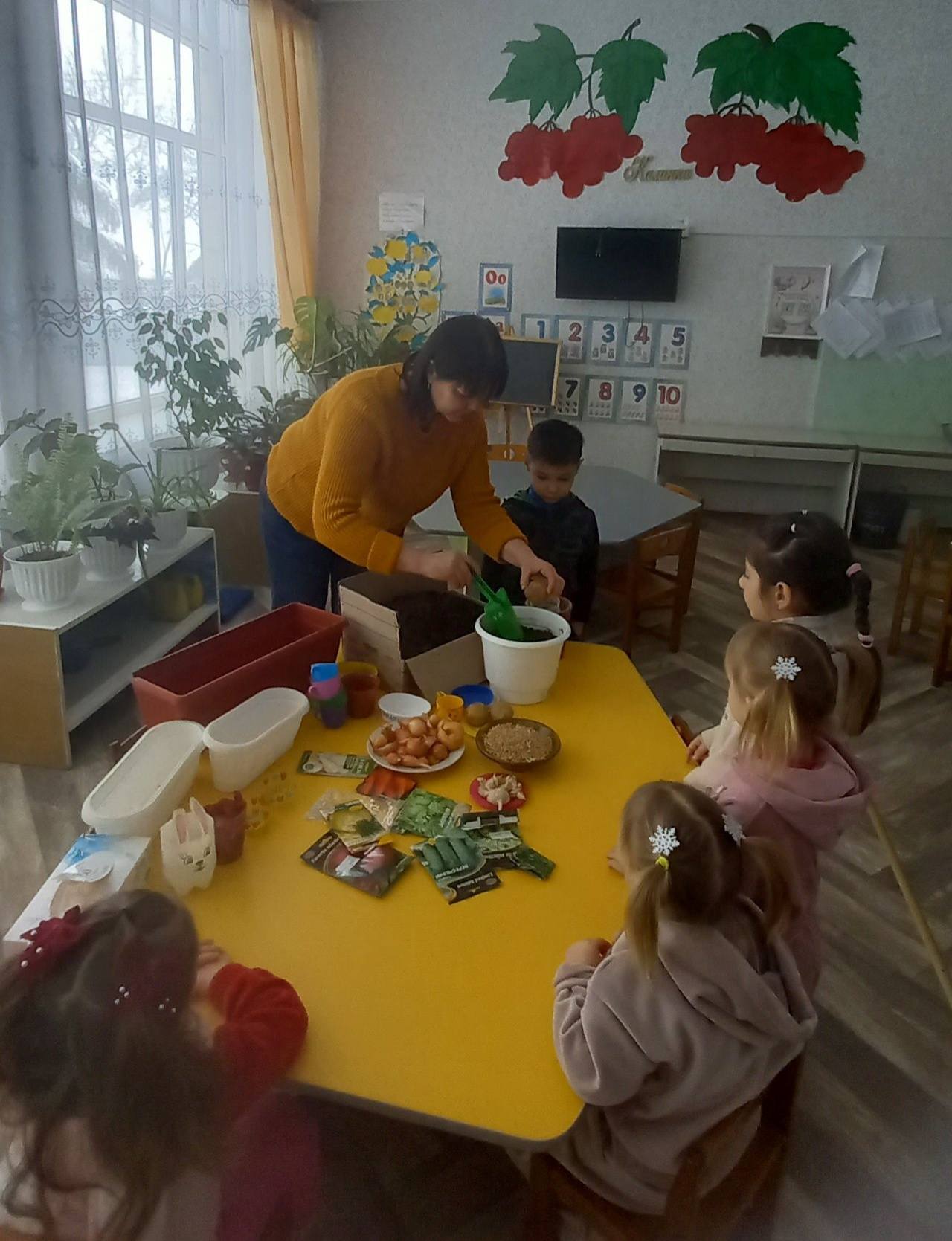 Фото без опису