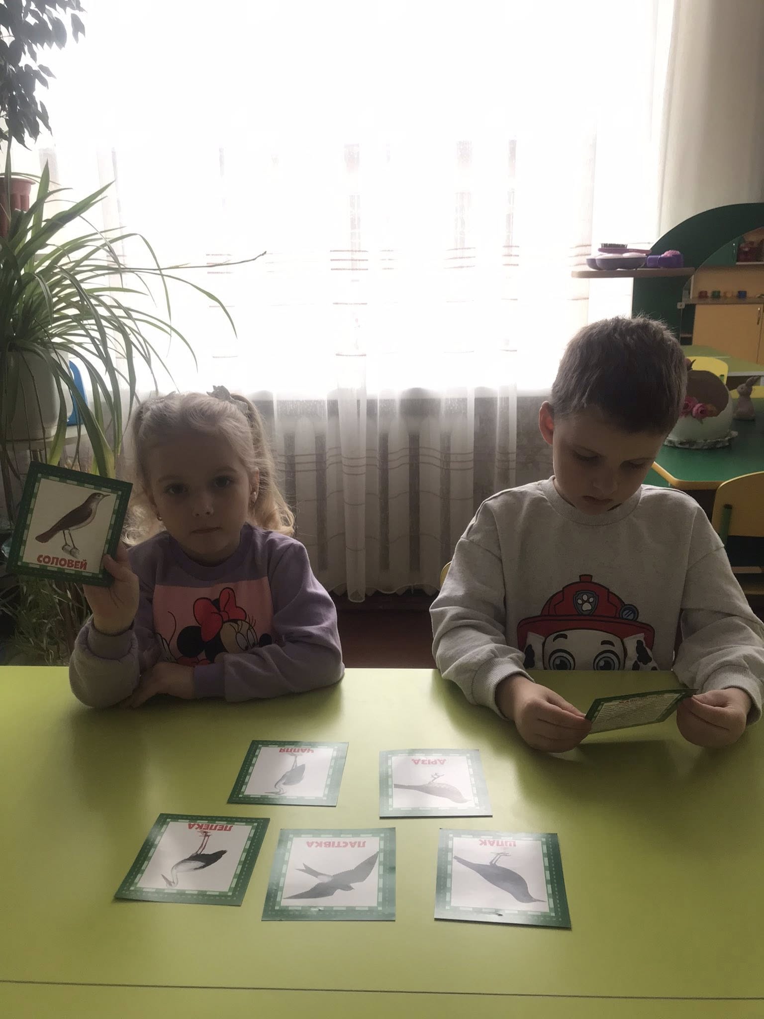 Фото без опису