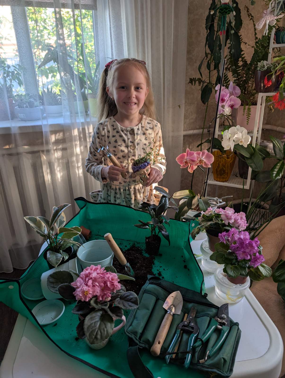 Фото без опису