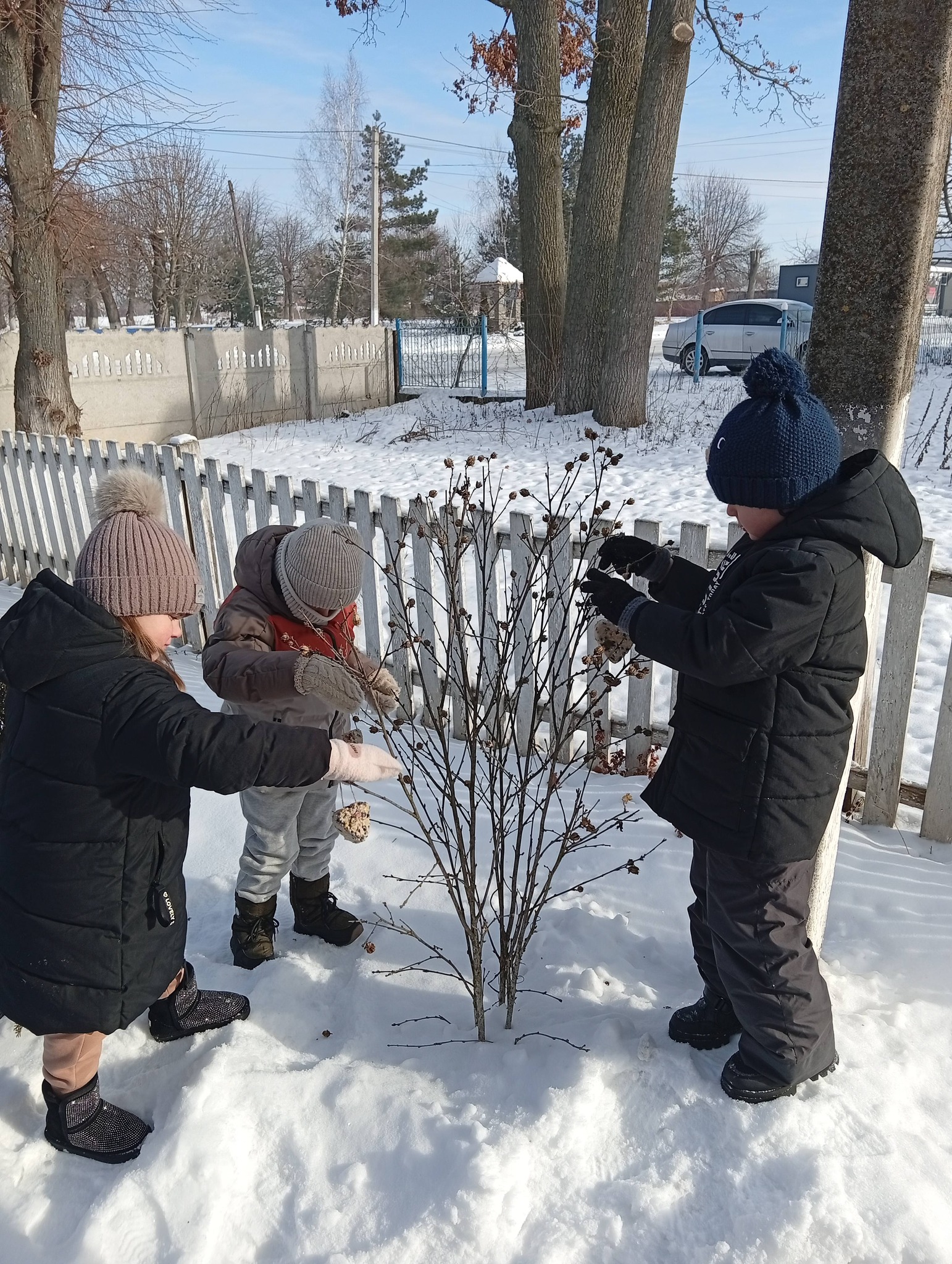 Фото без опису