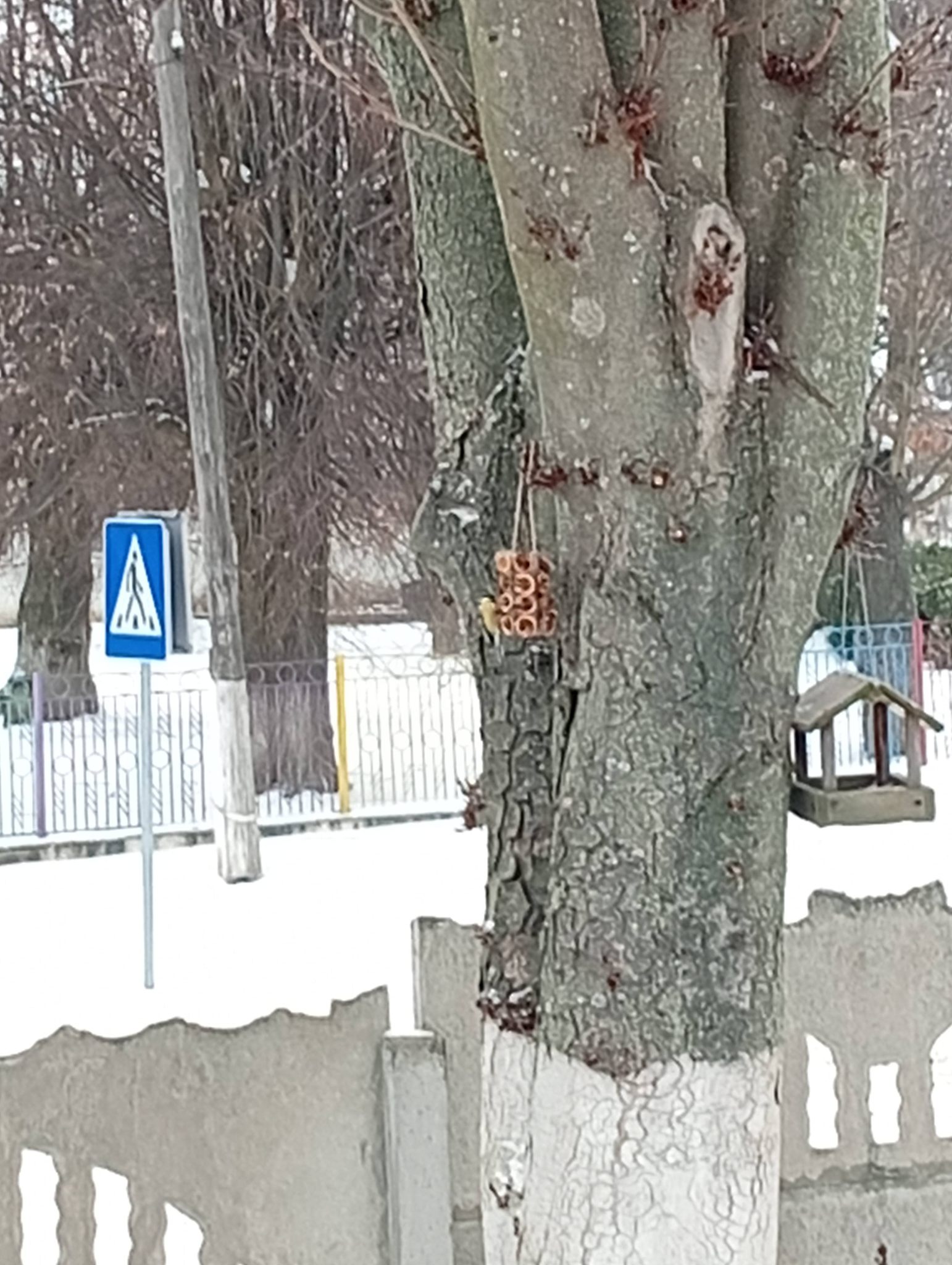 Фото без опису