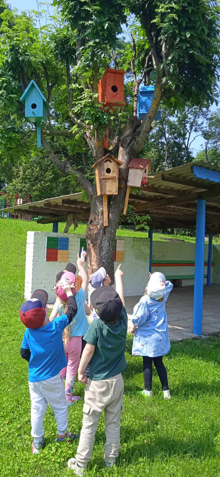 Фото без опису