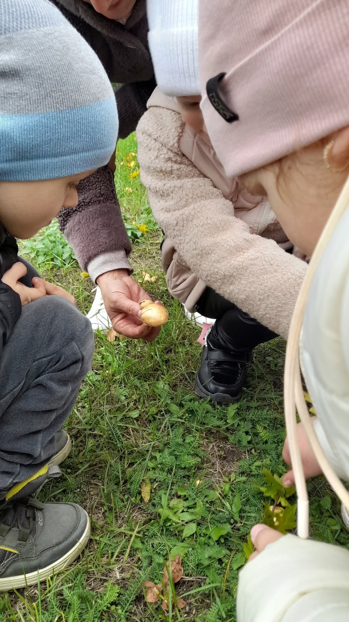 Фото без опису