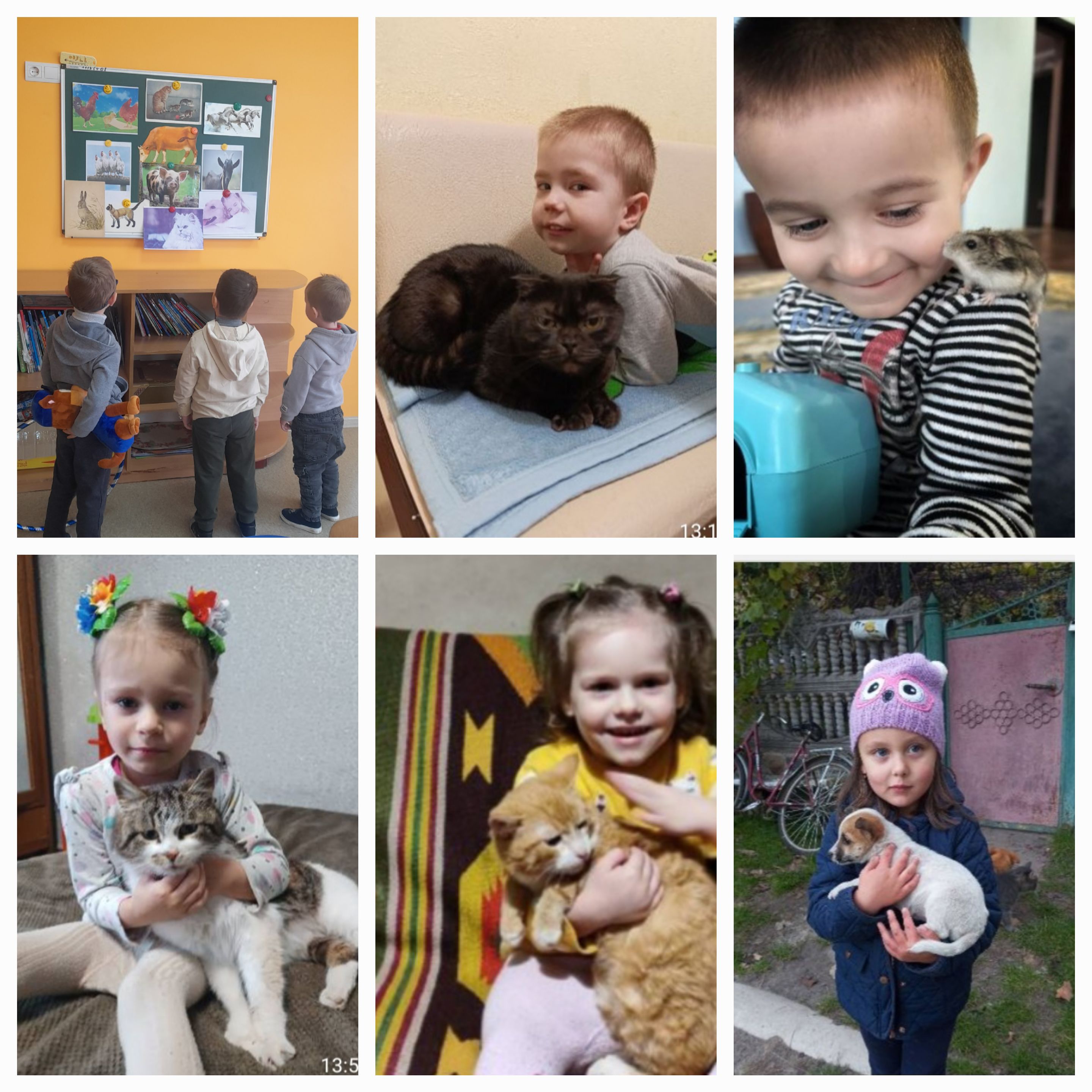 Фото без опису