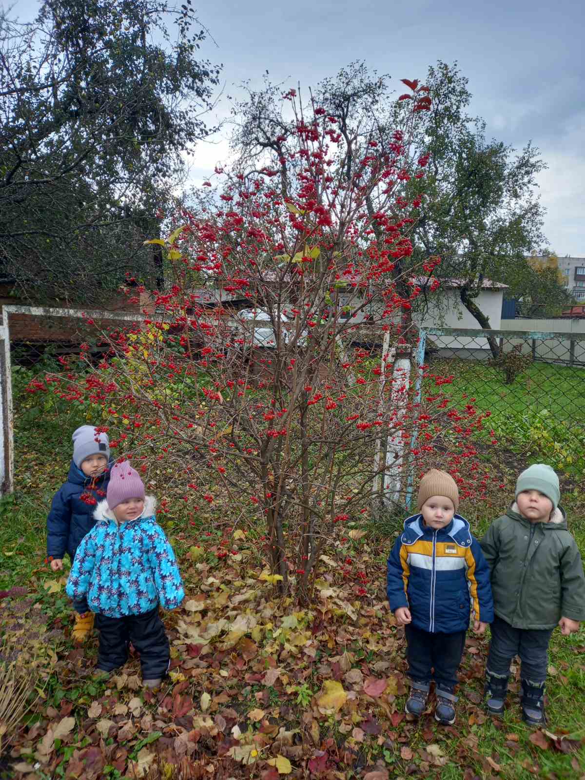 Фото без опису