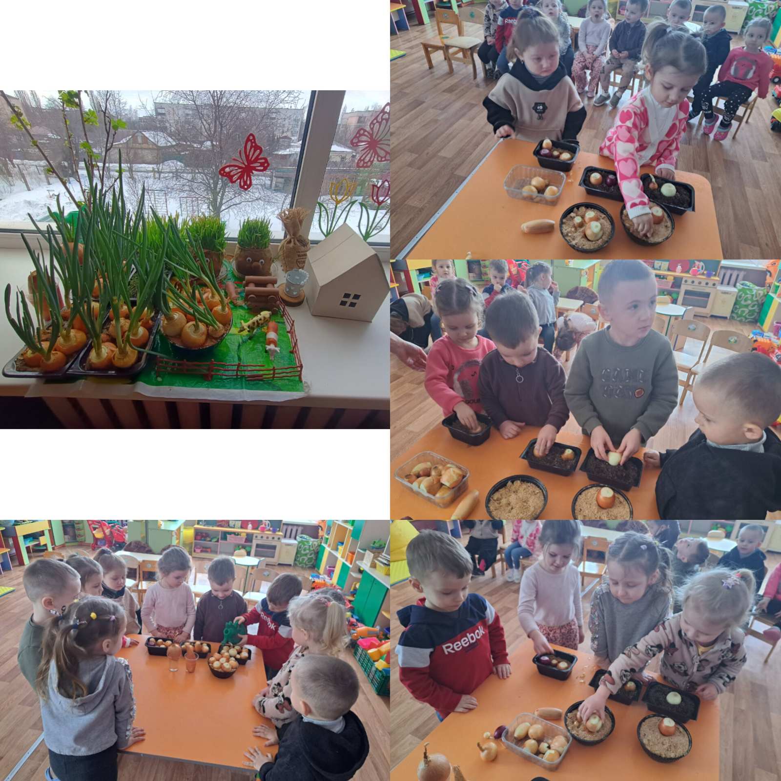 Фото без опису