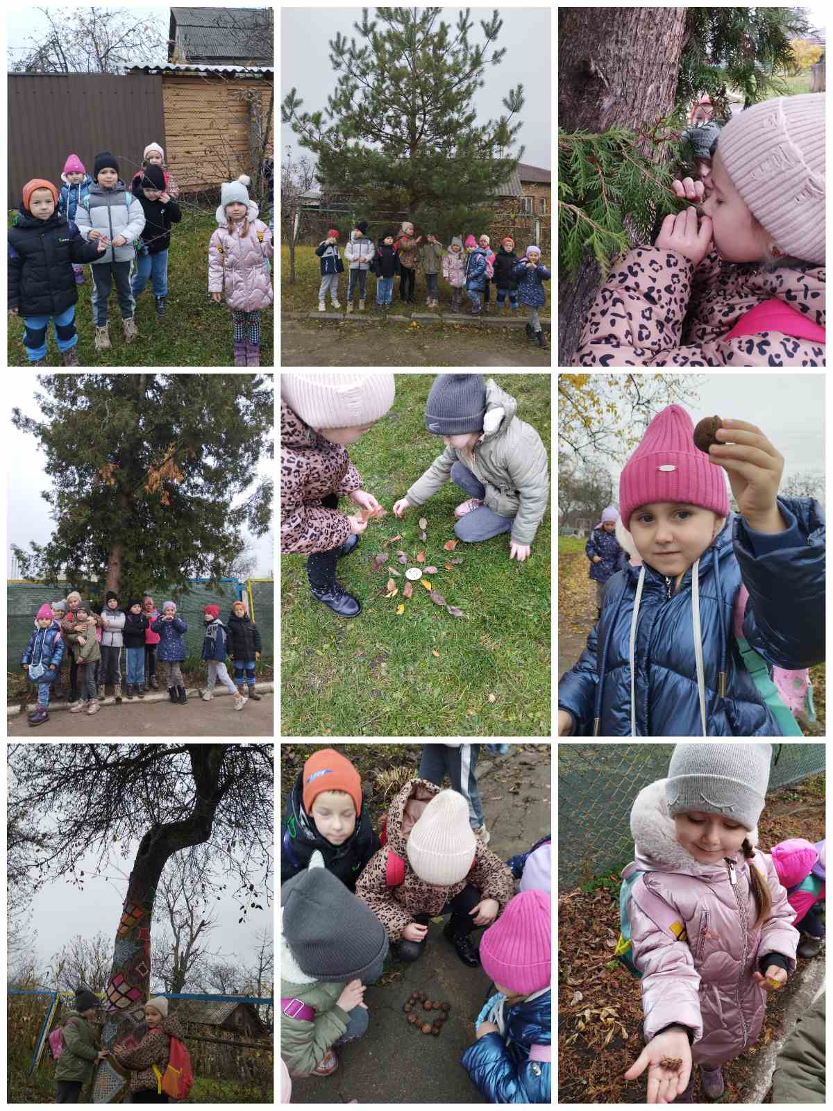 Фото без опису