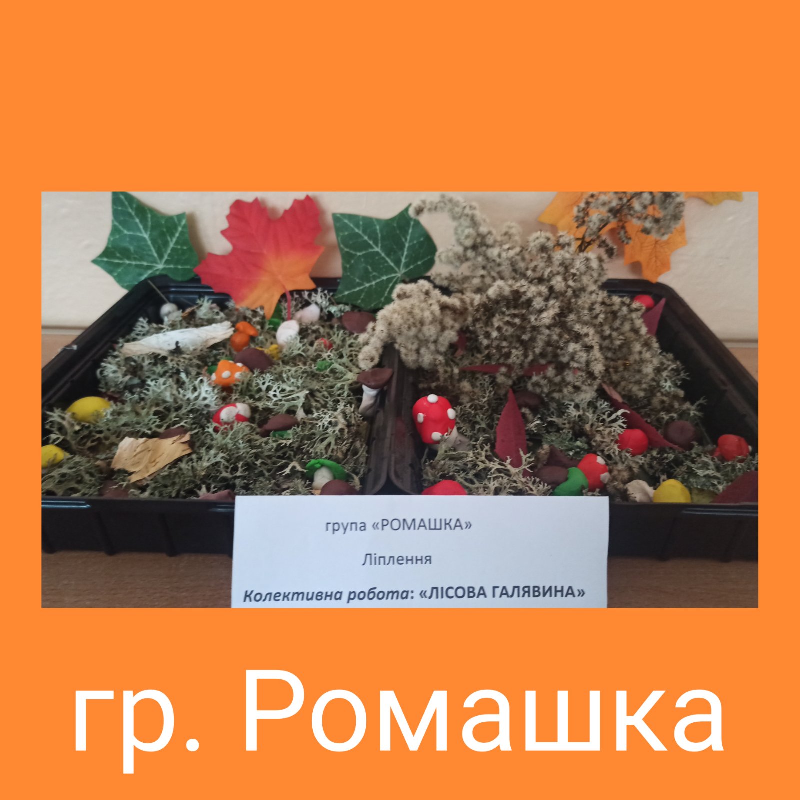 Фото без опису