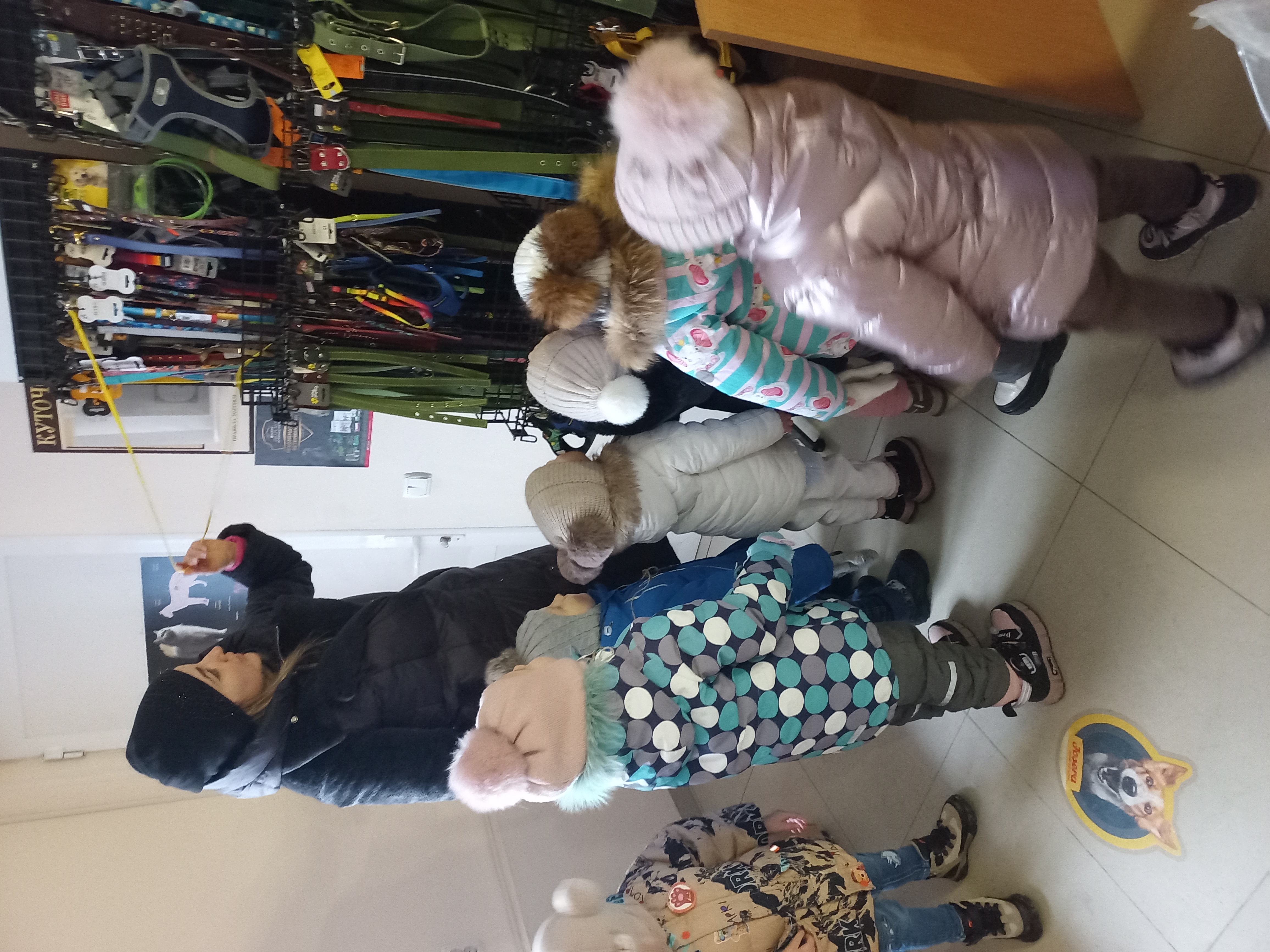 Фото без опису